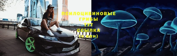 твердый Надым