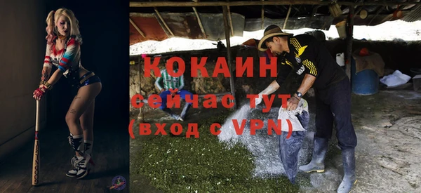 твердый Надым