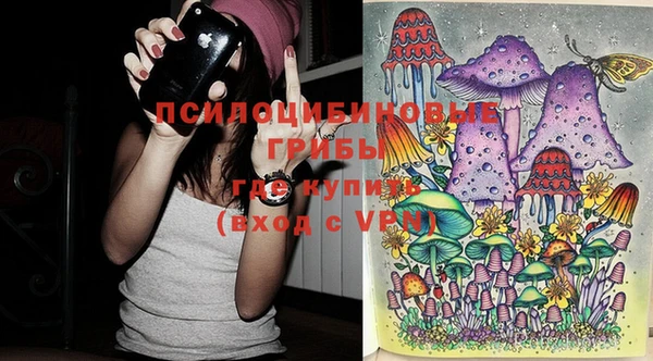 твердый Надым