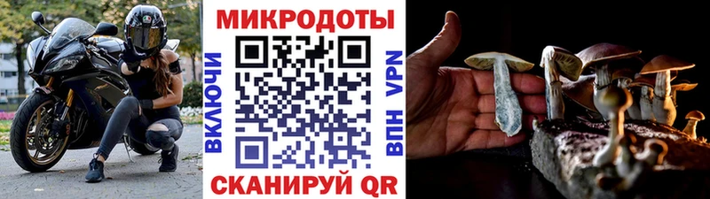 Купить закладки  Оха  Псилоцибиновые грибы мицелий 